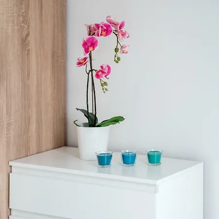 Apartament Wajdeloty Apartamento Gdansk